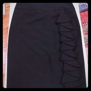 Express Pencil Skirt